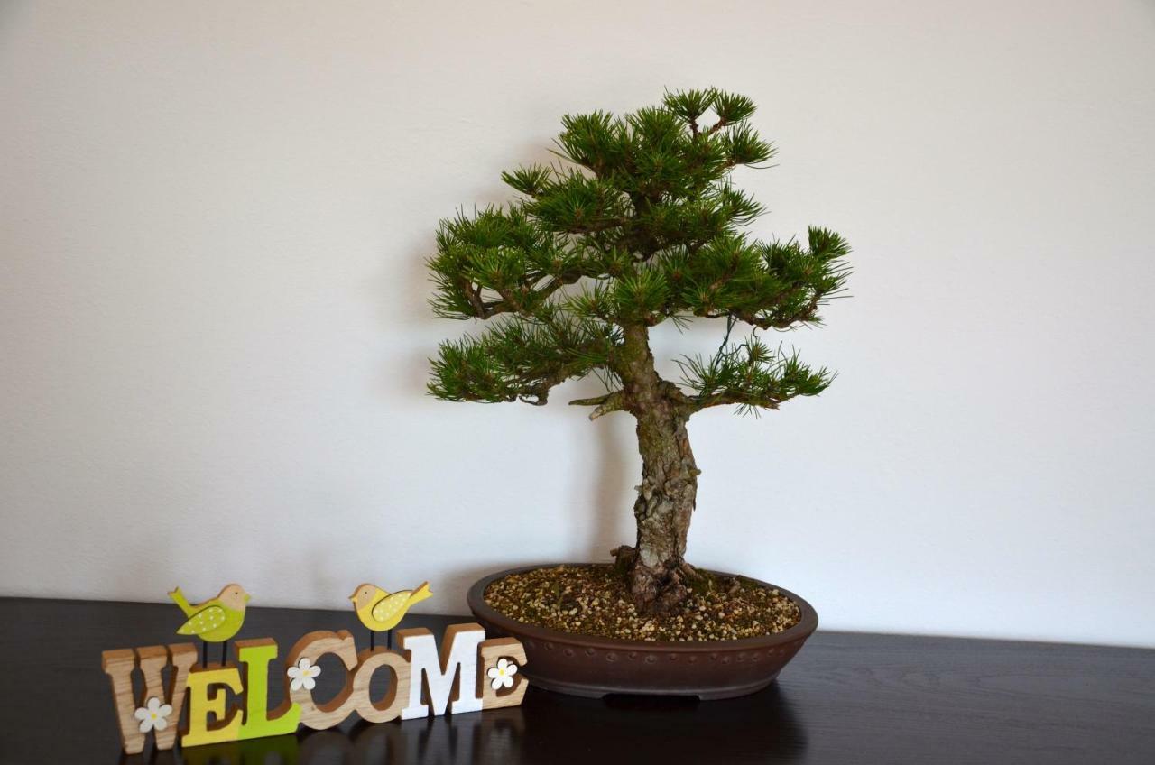 Bonsai House Apartamento Portorož Exterior foto